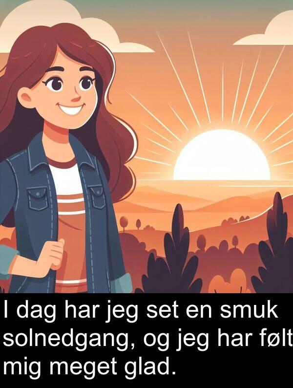 følt: I dag har jeg set en smuk solnedgang, og jeg har følt mig meget glad.