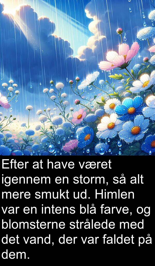 dem: Efter at have været igennem en storm, så alt mere smukt ud. Himlen var en intens blå farve, og blomsterne strålede med det vand, der var faldet på dem.