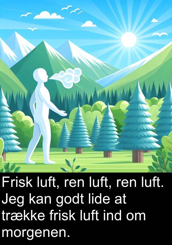 frisk: Frisk luft, ren luft, ren luft. Jeg kan godt lide at trække frisk luft ind om morgenen.