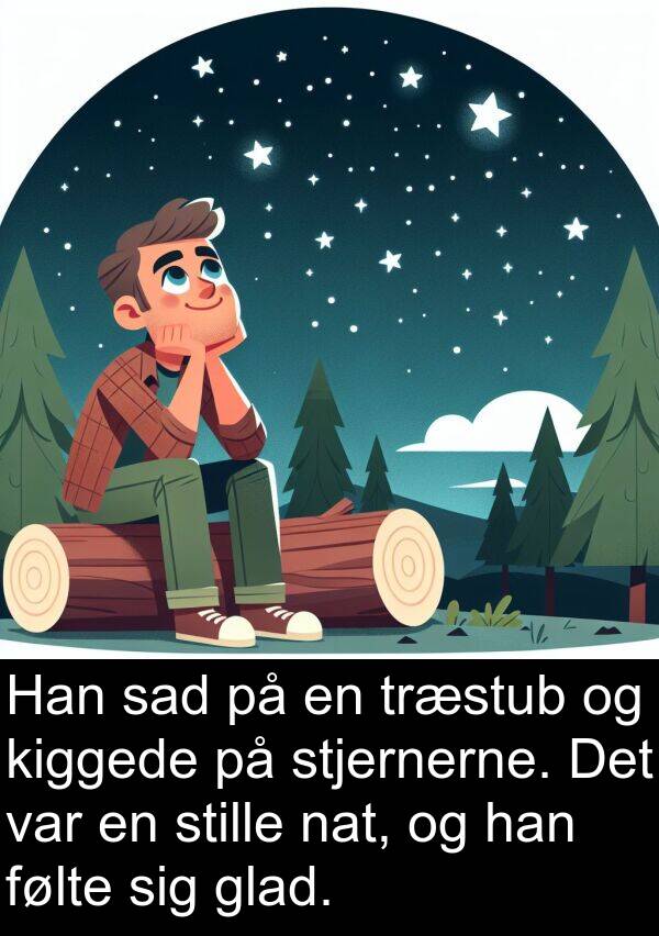 nat: Han sad på en træstub og kiggede på stjernerne. Det var en stille nat, og han følte sig glad.