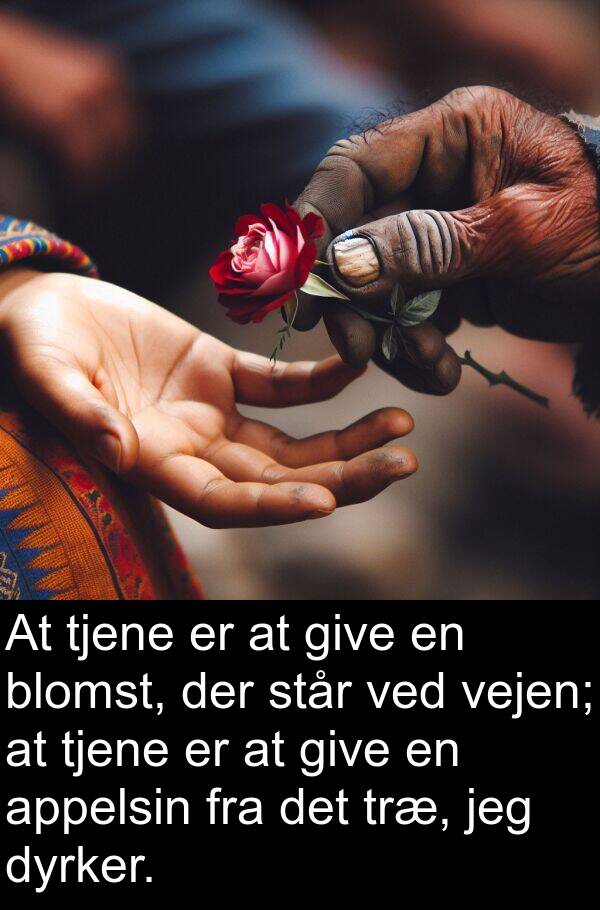 give: At tjene er at give en blomst, der står ved vejen; at tjene er at give en appelsin fra det træ, jeg dyrker.