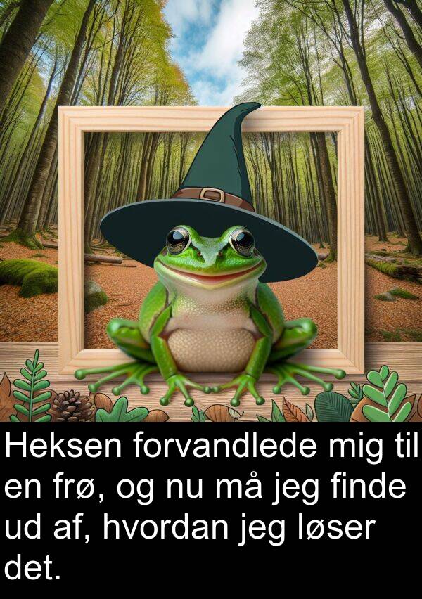 finde: Heksen forvandlede mig til en frø, og nu må jeg finde ud af, hvordan jeg løser det.