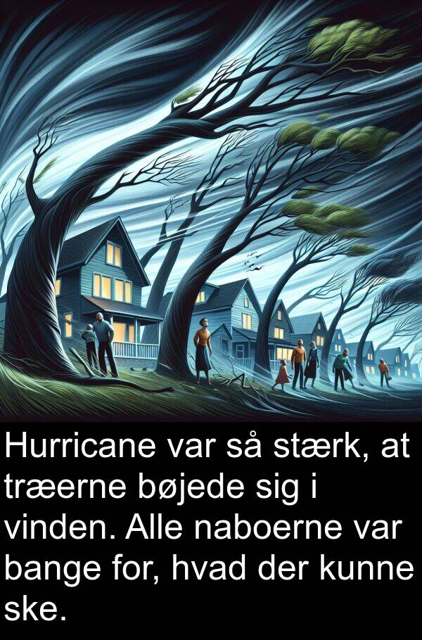 naboerne: Hurricane var så stærk, at træerne bøjede sig i vinden. Alle naboerne var bange for, hvad der kunne ske.