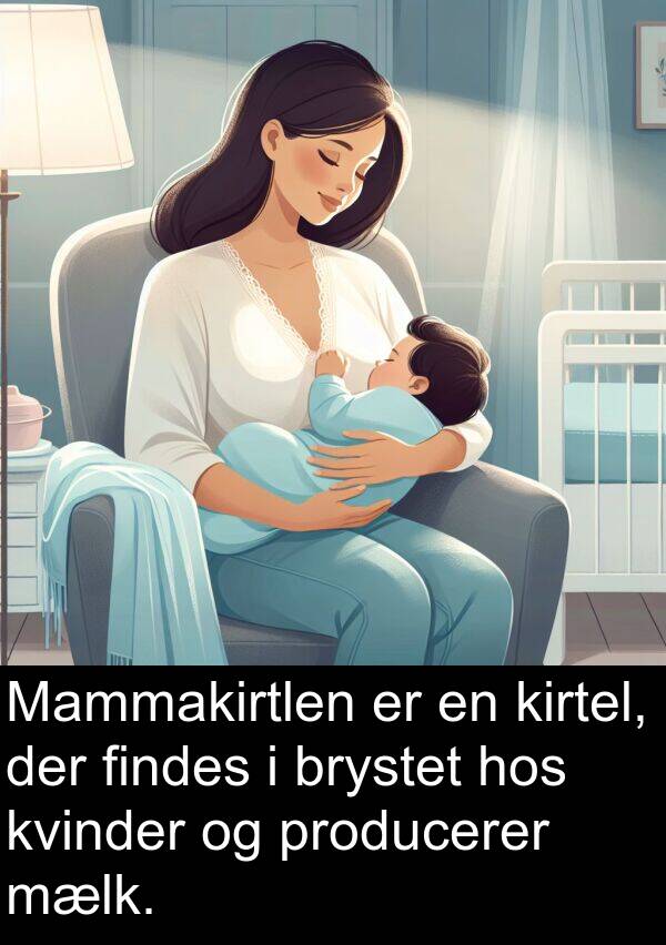 findes: Mammakirtlen er en kirtel, der findes i brystet hos kvinder og producerer mælk.