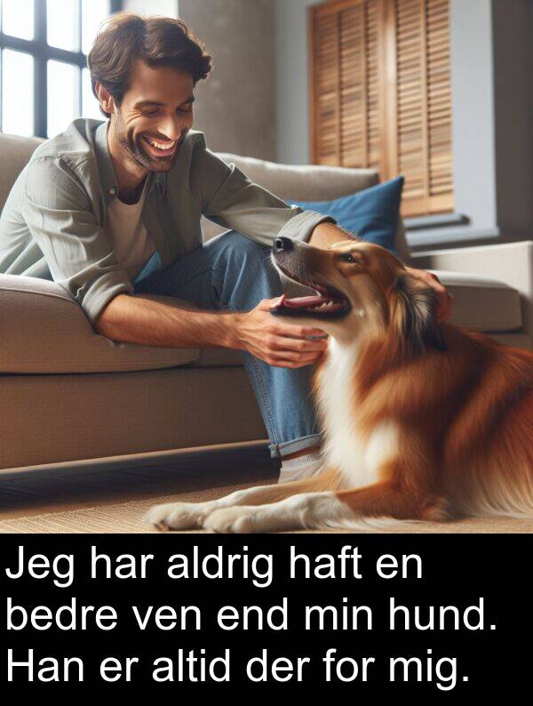 ven: Jeg har aldrig haft en bedre ven end min hund. Han er altid der for mig.