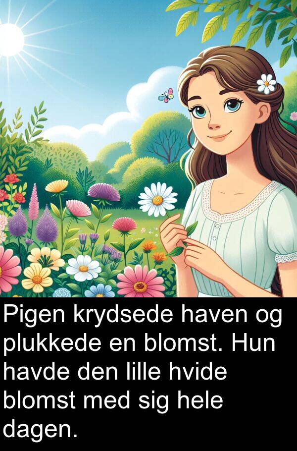 haven: Pigen krydsede haven og plukkede en blomst. Hun havde den lille hvide blomst med sig hele dagen.