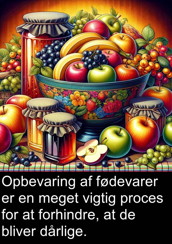 fødevarer: Opbevaring af fødevarer er en meget vigtig proces for at forhindre, at de bliver dårlige.