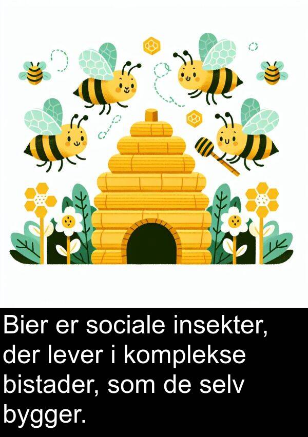 bygger: Bier er sociale insekter, der lever i komplekse bistader, som de selv bygger.