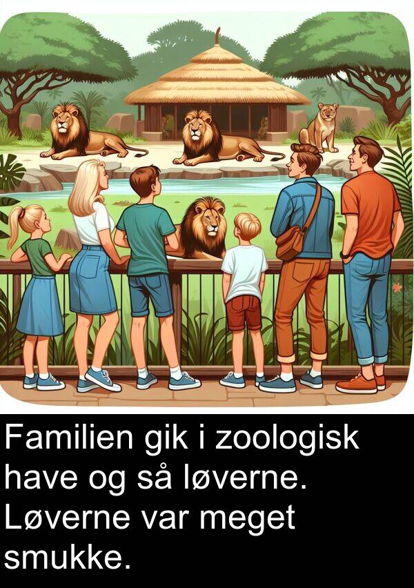 have: Familien gik i zoologisk have og så løverne. Løverne var meget smukke.