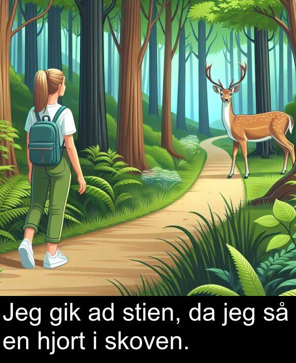 gik: Jeg gik ad stien, da jeg så en hjort i skoven.