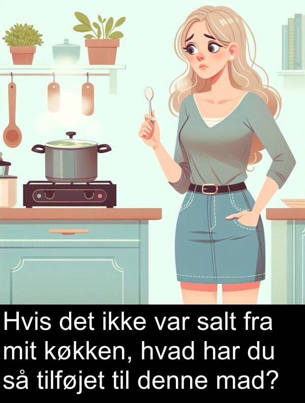 mad: Hvis det ikke var salt fra mit køkken, hvad har du så tilføjet til denne mad?