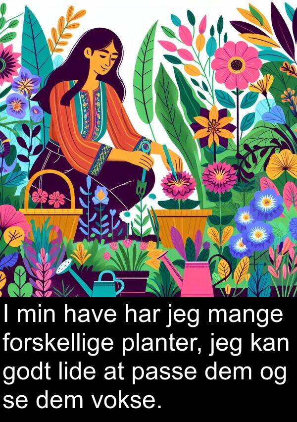 dem: I min have har jeg mange forskellige planter, jeg kan godt lide at passe dem og se dem vokse.