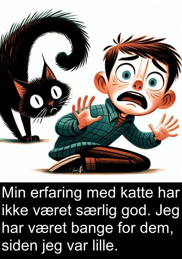 dem: Min erfaring med katte har ikke været særlig god. Jeg har været bange for dem, siden jeg var lille.