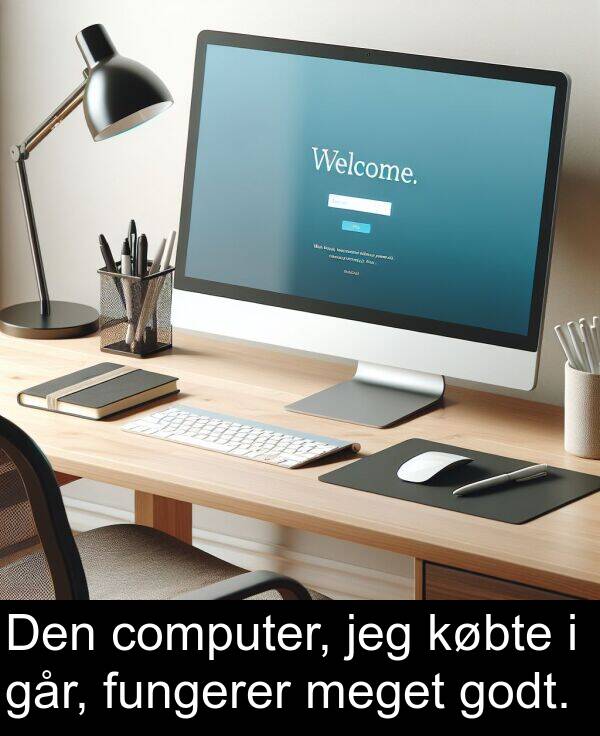 computer: Den computer, jeg købte i går, fungerer meget godt.