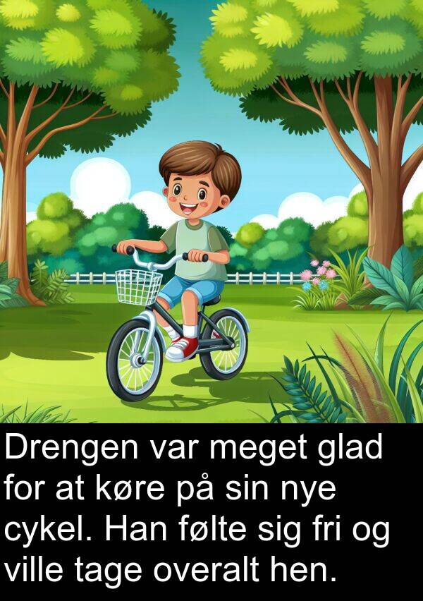 cykel: Drengen var meget glad for at køre på sin nye cykel. Han følte sig fri og ville tage overalt hen.