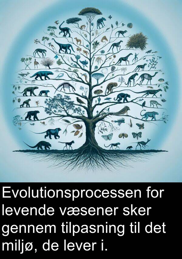 væsener: Evolutionsprocessen for levende væsener sker gennem tilpasning til det miljø, de lever i.