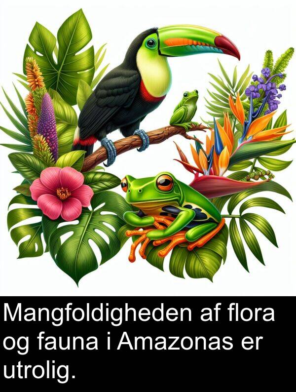 fauna: Mangfoldigheden af flora og fauna i Amazonas er utrolig.