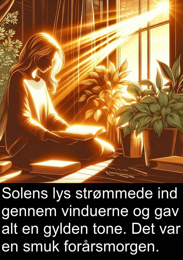 gav: Solens lys strømmede ind gennem vinduerne og gav alt en gylden tone. Det var en smuk forårsmorgen.