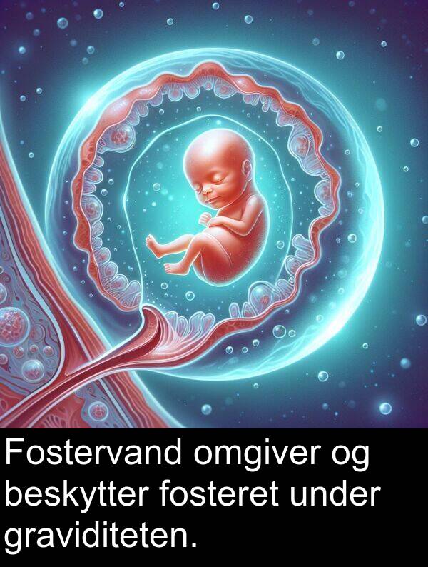 omgiver: Fostervand omgiver og beskytter fosteret under graviditeten.