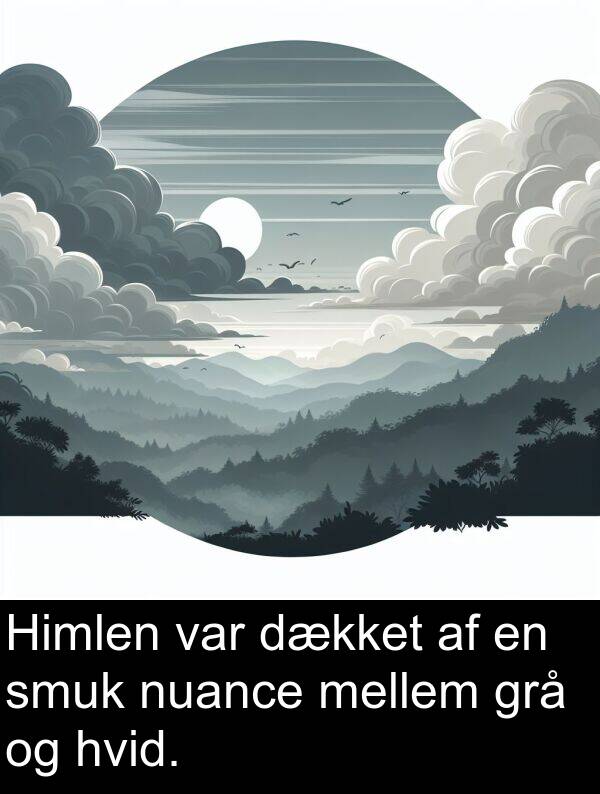 dækket: Himlen var dækket af en smuk nuance mellem grå og hvid.