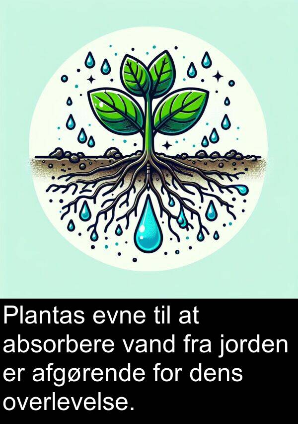 vand: Plantas evne til at absorbere vand fra jorden er afgørende for dens overlevelse.