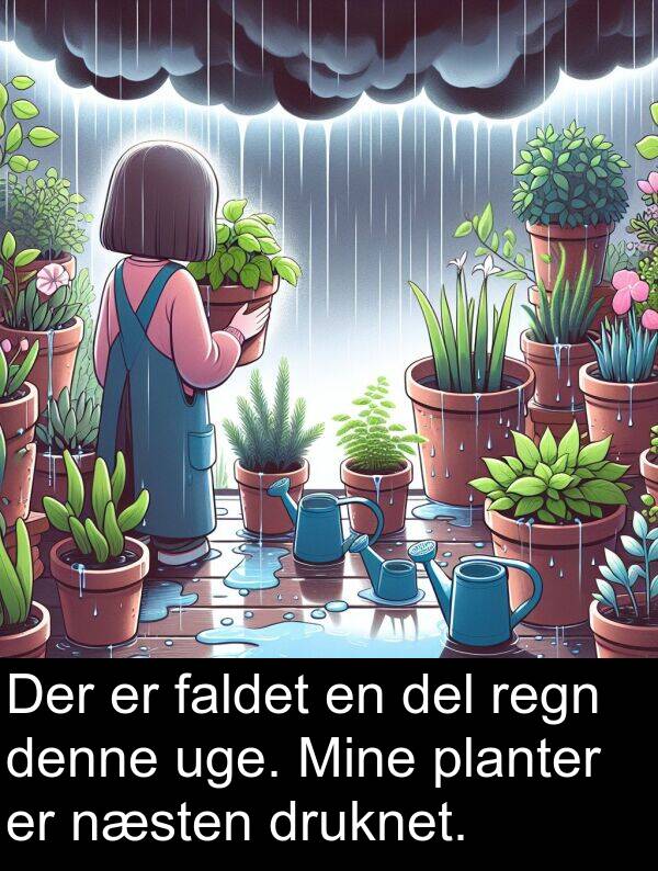 faldet: Der er faldet en del regn denne uge. Mine planter er næsten druknet.