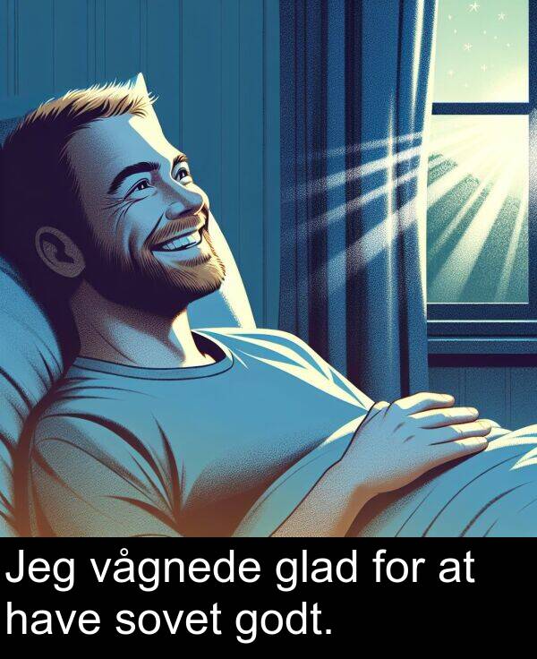 have: Jeg vågnede glad for at have sovet godt.