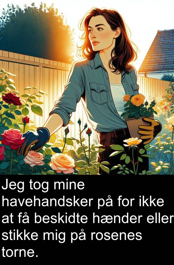 eller: Jeg tog mine havehandsker på for ikke at få beskidte hænder eller stikke mig på rosenes torne.