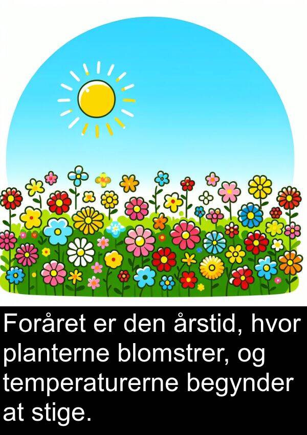 begynder: Foråret er den årstid, hvor planterne blomstrer, og temperaturerne begynder at stige.