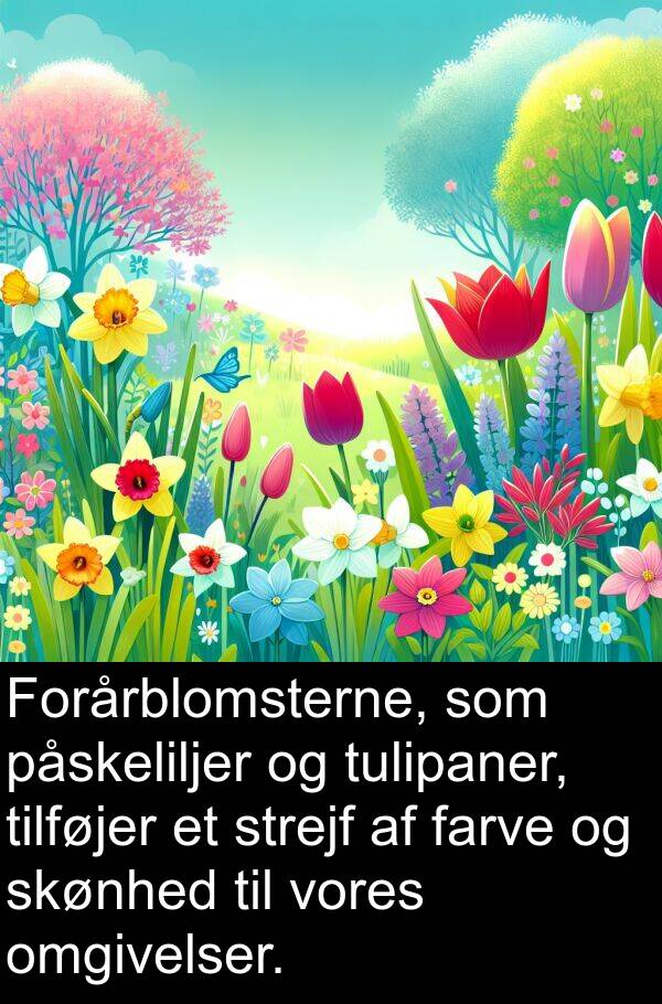 farve: Forårblomsterne, som påskeliljer og tulipaner, tilføjer et strejf af farve og skønhed til vores omgivelser.