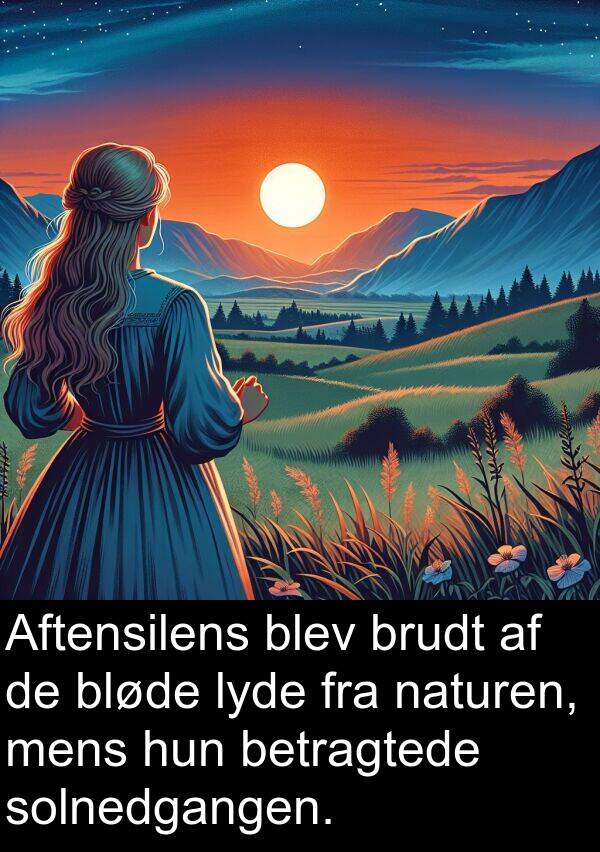 naturen: Aftensilens blev brudt af de bløde lyde fra naturen, mens hun betragtede solnedgangen.