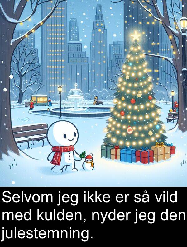 nyder: Selvom jeg ikke er så vild med kulden, nyder jeg den julestemning.