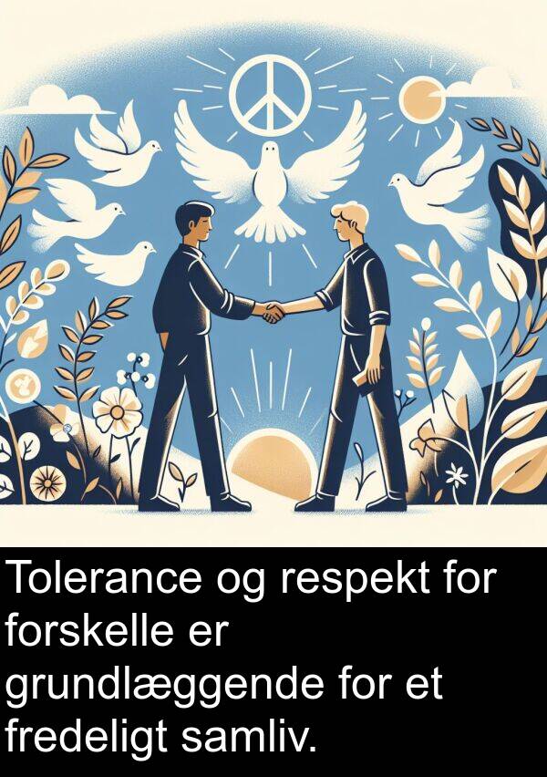 forskelle: Tolerance og respekt for forskelle er grundlæggende for et fredeligt samliv.