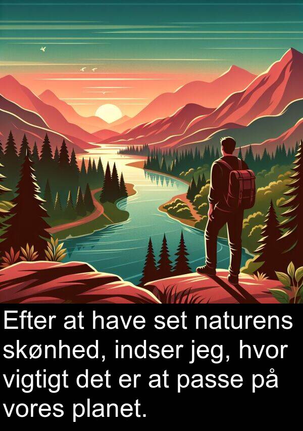 naturens: Efter at have set naturens skønhed, indser jeg, hvor vigtigt det er at passe på vores planet.