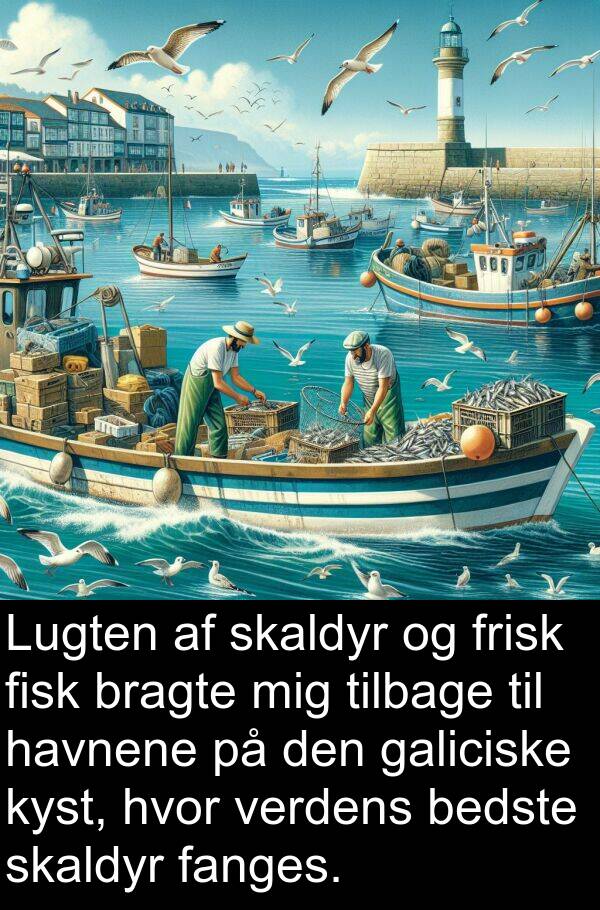 bedste: Lugten af skaldyr og frisk fisk bragte mig tilbage til havnene på den galiciske kyst, hvor verdens bedste skaldyr fanges.