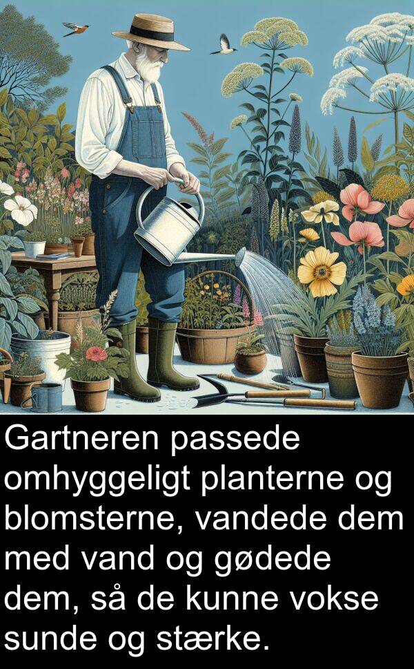 dem: Gartneren passede omhyggeligt planterne og blomsterne, vandede dem med vand og gødede dem, så de kunne vokse sunde og stærke.