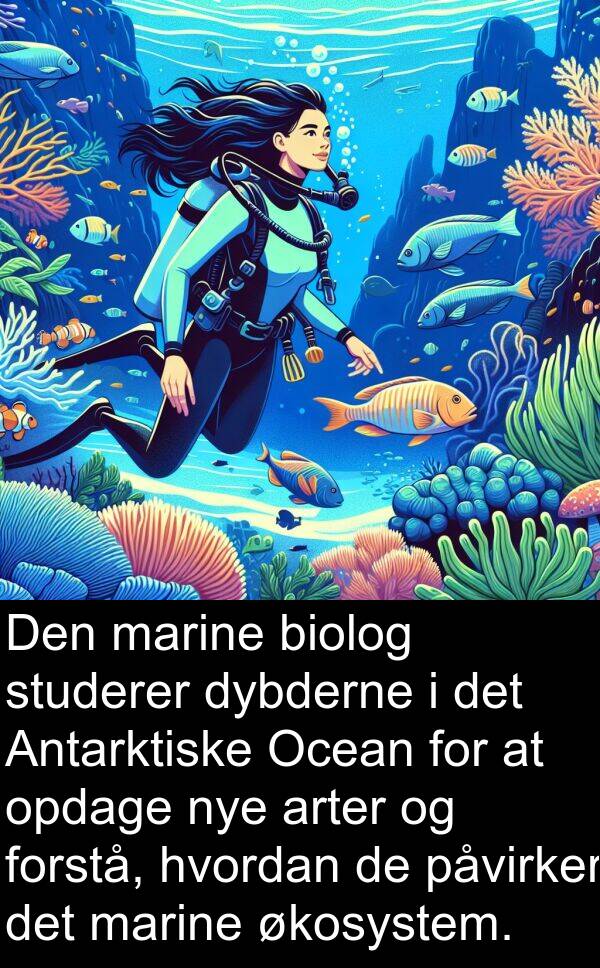 marine: Den marine biolog studerer dybderne i det Antarktiske Ocean for at opdage nye arter og forstå, hvordan de påvirker det marine økosystem.