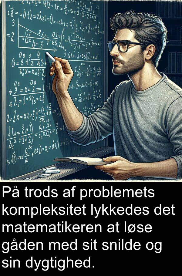 matematikeren: På trods af problemets kompleksitet lykkedes det matematikeren at løse gåden med sit snilde og sin dygtighed.