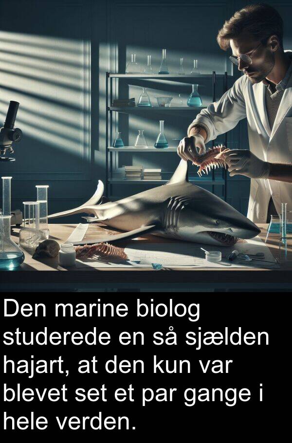 marine: Den marine biolog studerede en så sjælden hajart, at den kun var blevet set et par gange i hele verden.