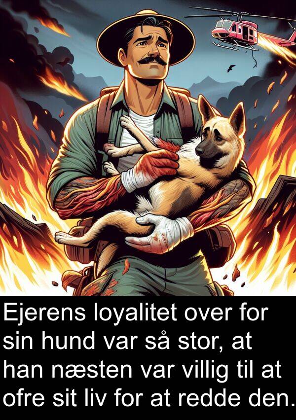 ofre: Ejerens loyalitet over for sin hund var så stor, at han næsten var villig til at ofre sit liv for at redde den.