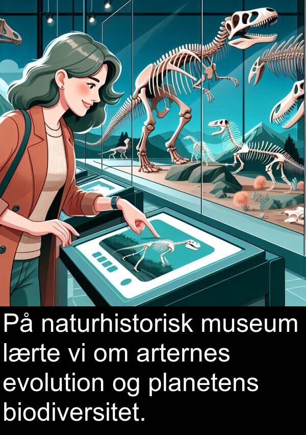 museum: På naturhistorisk museum lærte vi om arternes evolution og planetens biodiversitet.