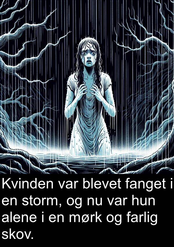 storm: Kvinden var blevet fanget i en storm, og nu var hun alene i en mørk og farlig skov.