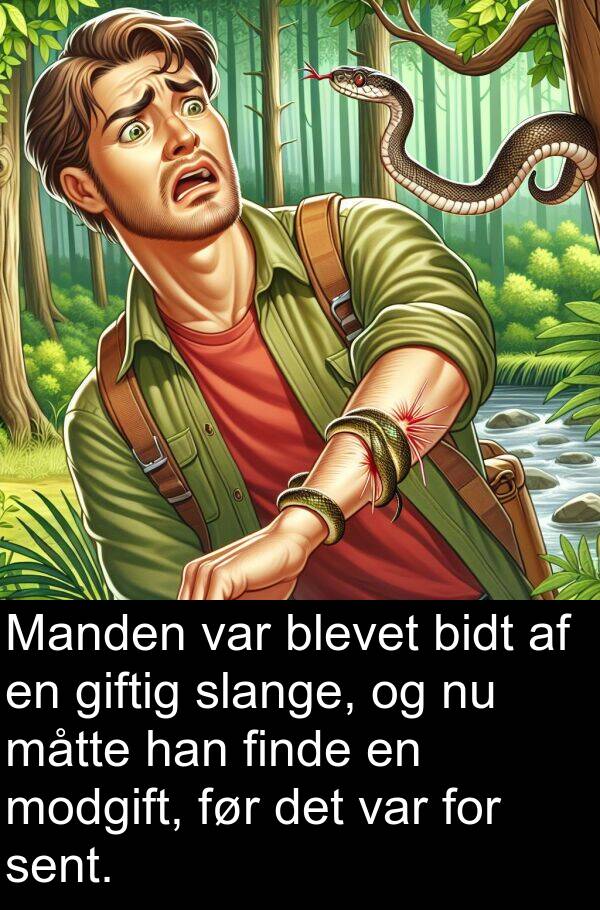 finde: Manden var blevet bidt af en giftig slange, og nu måtte han finde en modgift, før det var for sent.