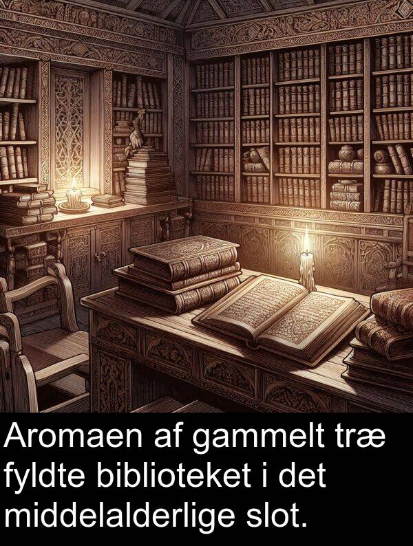 gammelt: Aromaen af gammelt træ fyldte biblioteket i det middelalderlige slot.