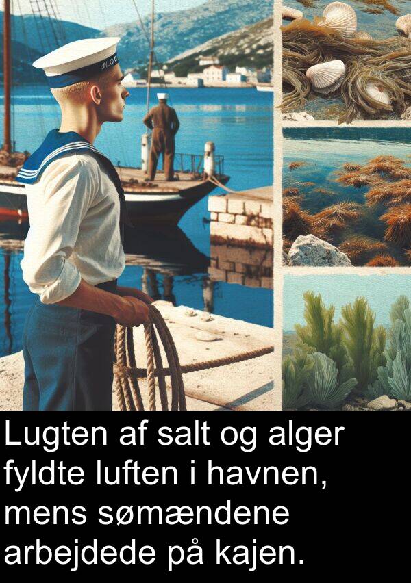 kajen: Lugten af salt og alger fyldte luften i havnen, mens sømændene arbejdede på kajen.