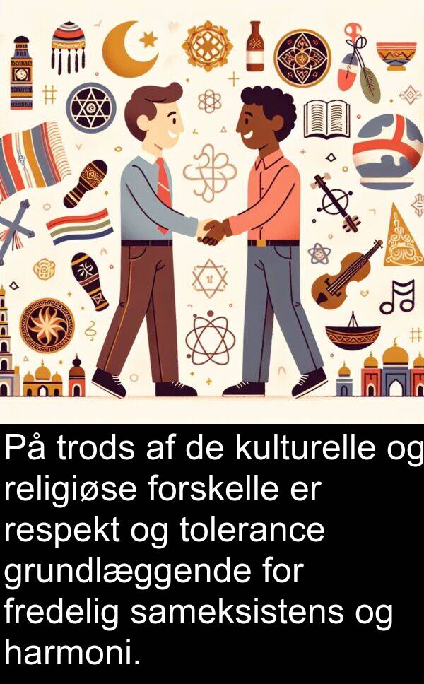 sameksistens: På trods af de kulturelle og religiøse forskelle er respekt og tolerance grundlæggende for fredelig sameksistens og harmoni.