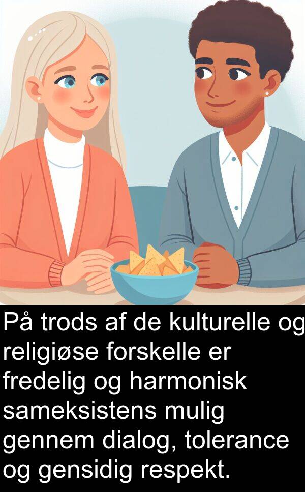 harmonisk: På trods af de kulturelle og religiøse forskelle er fredelig og harmonisk sameksistens mulig gennem dialog, tolerance og gensidig respekt.