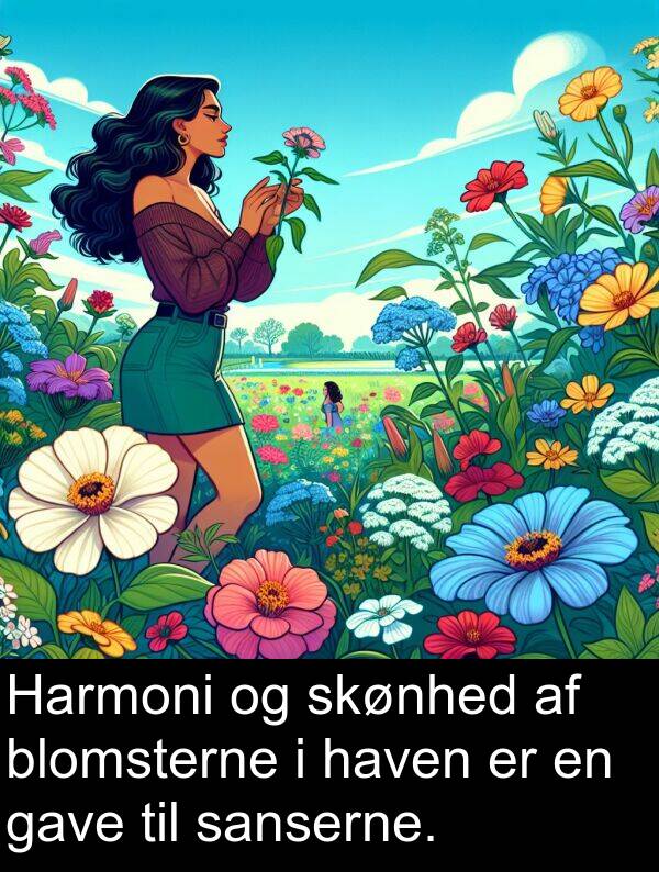 haven: Harmoni og skønhed af blomsterne i haven er en gave til sanserne.