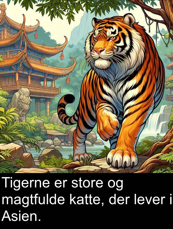 magtfulde: Tigerne er store og magtfulde katte, der lever i Asien.