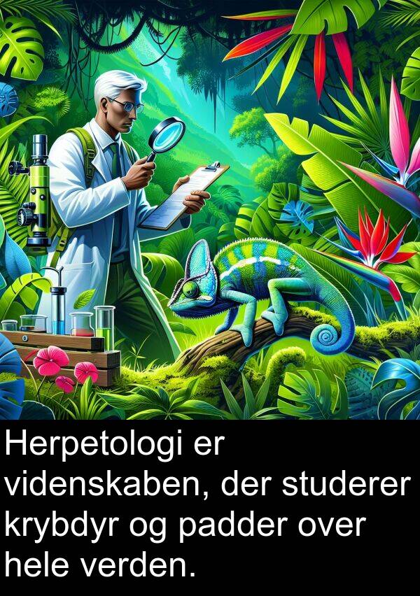 videnskaben: Herpetologi er videnskaben, der studerer krybdyr og padder over hele verden.